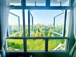 Blk 451A West Terra @ Bukit Batok (Bukit Batok), HDB 2 Rooms #634646341